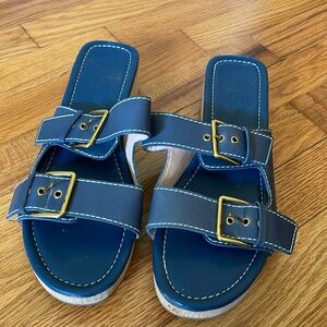 J Crew blue leather sandals